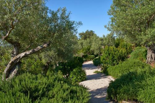 Hotel Rural Quinta Do Marco - Nature & Dining