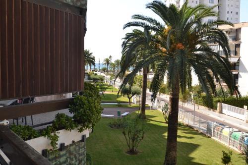 Apartamento Wvp - Formentor 3
