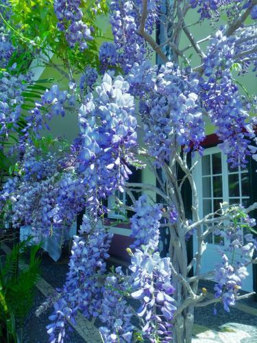 Hostal Quinta Do Cabouco