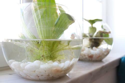 Albergue Green House