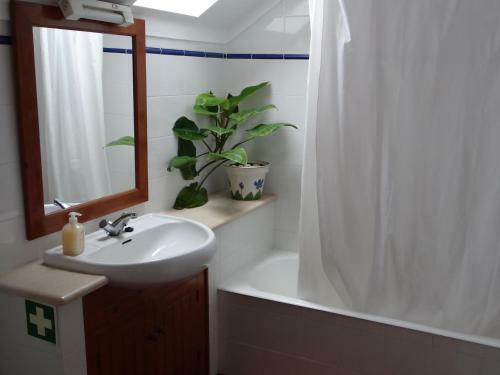 Apartamento Casa S�o Jo�o