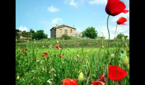 Santa Maria de Merles Villa Sleeps 14 With Pool