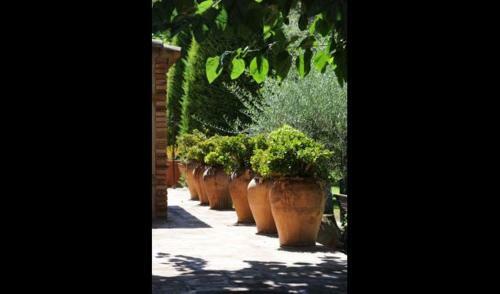 Santa Oliva Villa Sleeps 16 With Pool And Air Con