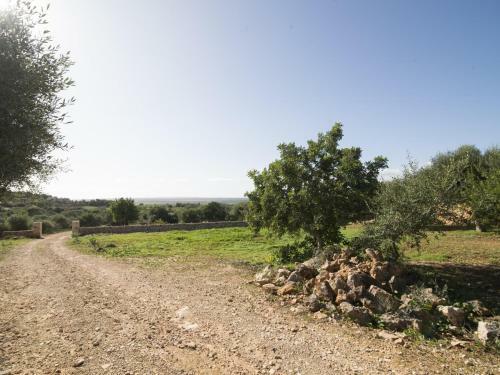 Villa Ses Rotes De Sa Talaia
