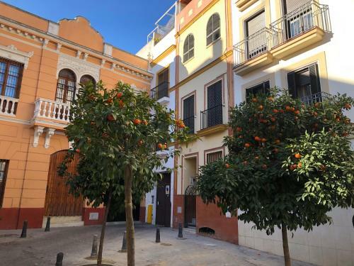 Unique House - Private Spa&pool -stayinseville