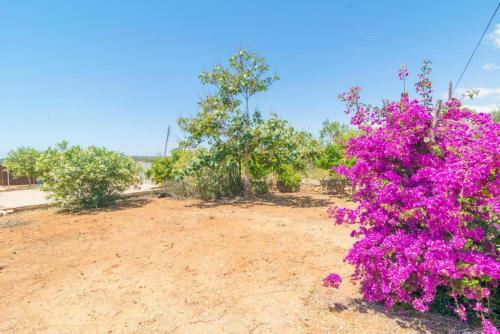Villa Can Tomeu (Ses Salines)