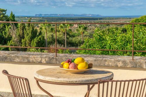 Villa Finca Palmera