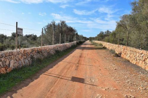 Villa Can Xesquet Comuna Ses Salines 168