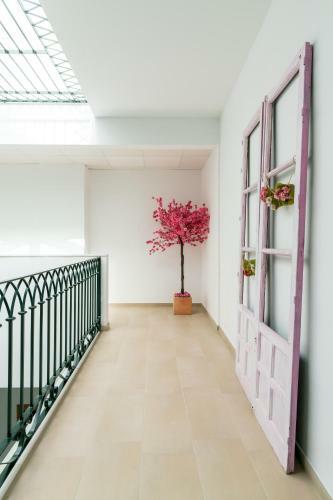 Apartamento Casa Palacio San Lorenzo