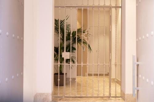 Apartamento Hommyhome Vera-cruz 1900