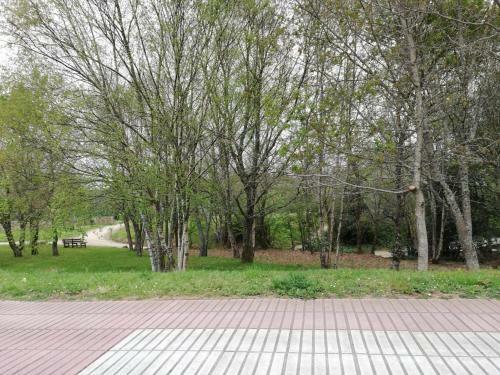 Apartamento Sig�eiro Camino Ingl�s (English Way)
