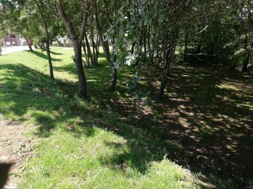 Apartamento Alojamiento Cami�o Real