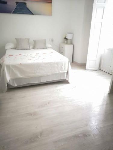 Apartment In The Postigo Next To The Cathedral