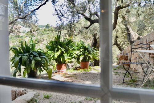 Villa Port Soller