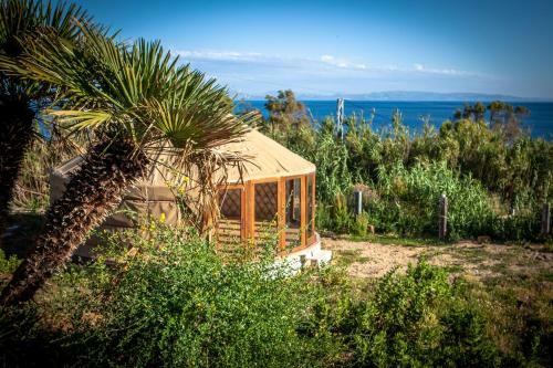 Albergue Wild House Tarifa