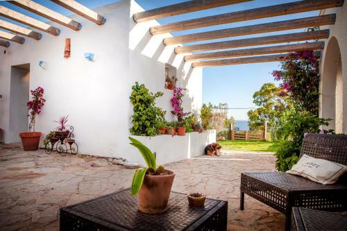 Albergue Wild House Tarifa