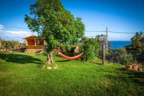 Albergue Wild House Tarifa