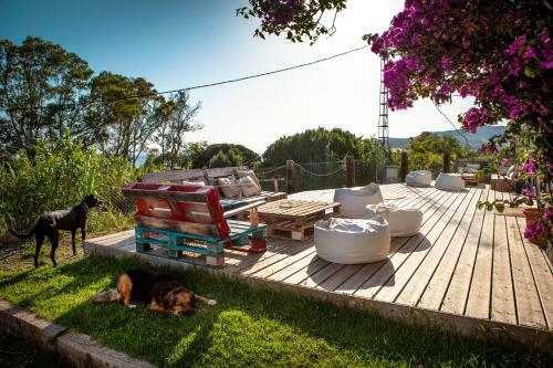 Albergue Wild House Tarifa