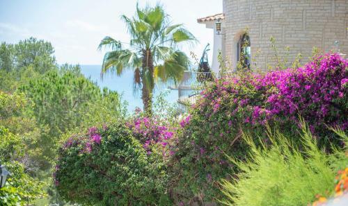 Th128 Villa Con Vistas A La Playa La Mora