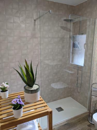 Apartamento �tico El Rosal Del Pozo