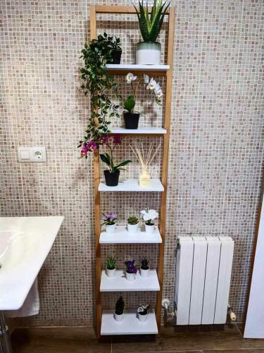 Apartamento �tico El Rosal Del Pozo