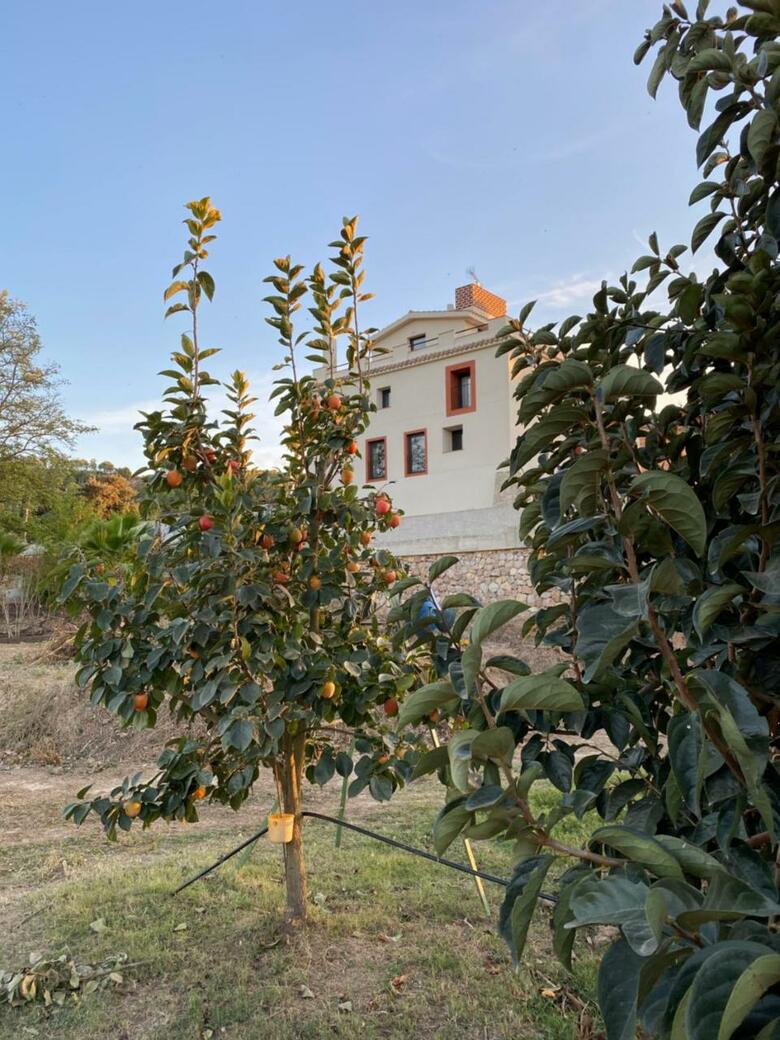 Hotel Rural Mas De L'illa