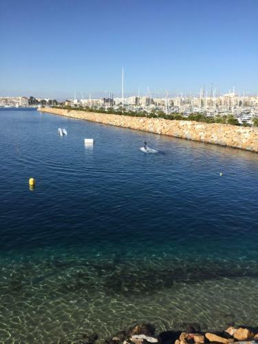 Apartament Orhidea