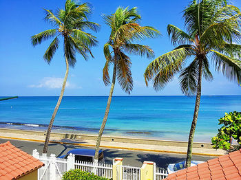 Hotel Tres Palmas Inn