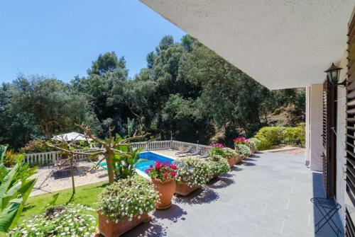Club Villamar - Jamira