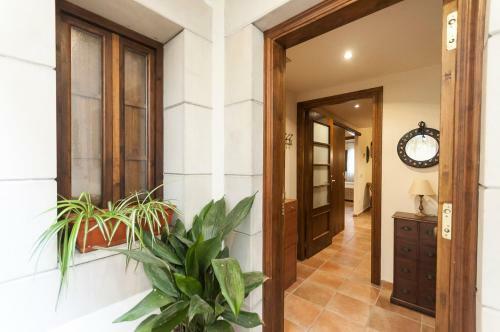 Lets Holidays Apartment Sant Antoni