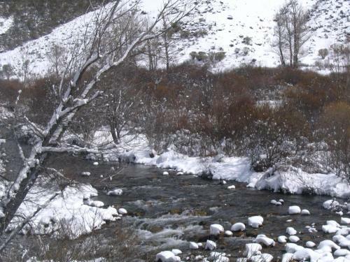 Hotel Hostal Asador La Monta�a