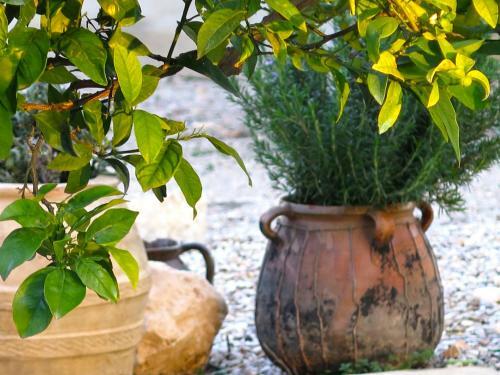 Agroturismo Casa El Ros II - Turistrat