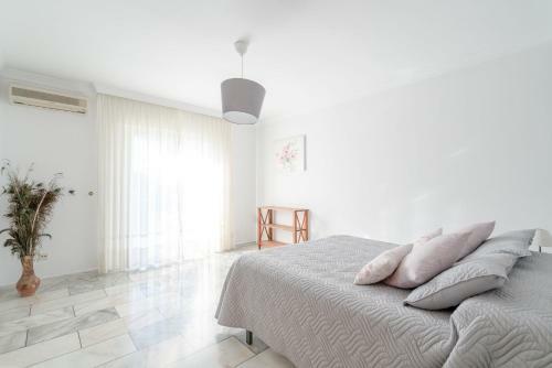 Villa Felicity Primera Planta