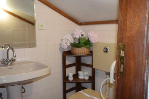 Hostal Quinta Da Boa Ventura