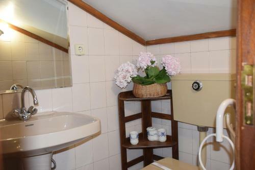 Hostal Quinta Da Boa Ventura