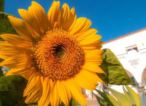 Hostal Residencia Quinta Do Po�o Guesthouse