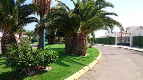 Ground Floor Apartment In Vera Playa Private Patio North Facing