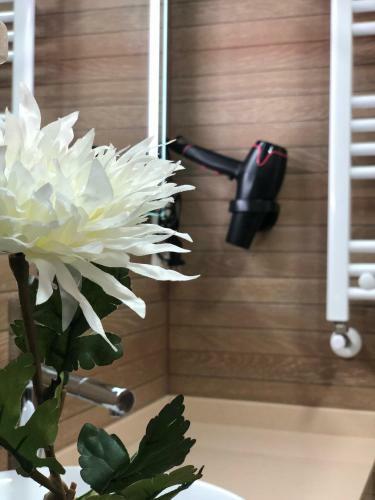 Apartamento Turistico Pizarro