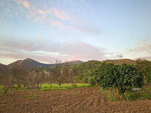 Acogedora Casa Rural En Zahara de La Sierra