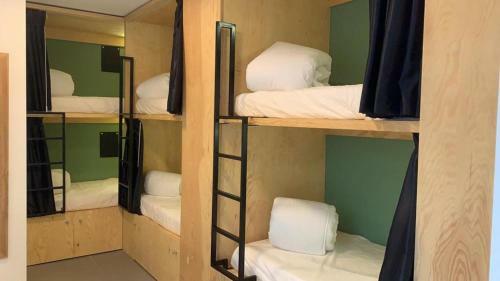 The Botanic Hostel
