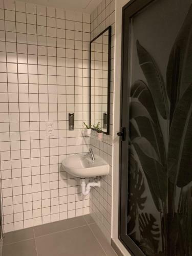 The Botanic Hostel