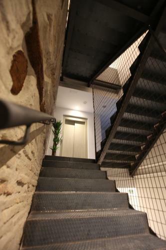 The Botanic Hostel