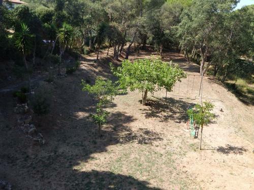 Apart Planta Baixa Amb Parking Montserrat III