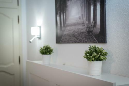 Apartamento Ocean View Peaceful Oasis