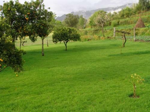 Apartamento Quinta De Santa Marinha