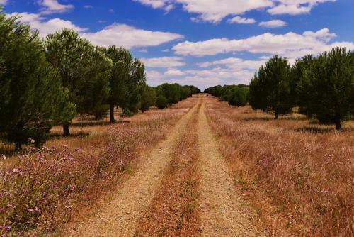 Agroturismo Sesmarias Turismo Rural &amp; Spa
