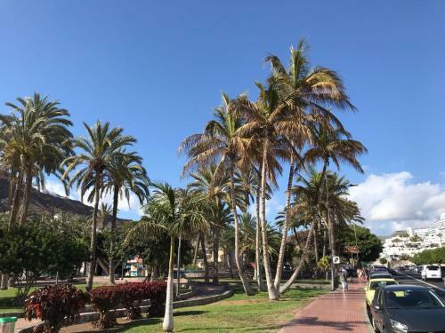 Puerto Rico Sunny Apartment With Terrace