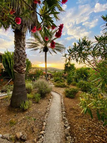 Apartamento Studio Sur In Son Macia Mallorca - Adults Only