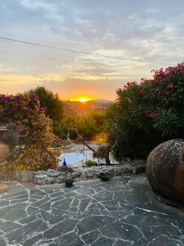 Apartamento Studio Sur In Son Macia Mallorca - Adults Only