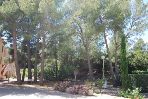 Apartamento Zeus Guardamar Seaview